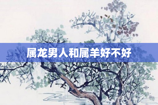 属龙男人和属羊好不好