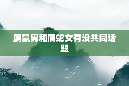 属鼠男和属蛇女有没共同话题
