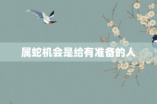 属蛇机会是给有准备的人