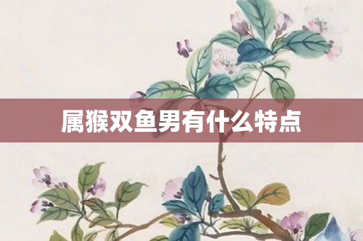 属猴双鱼男有什么特点