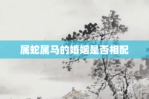 属蛇属马的婚姻是否相配