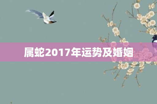 属蛇2017年运势及婚姻