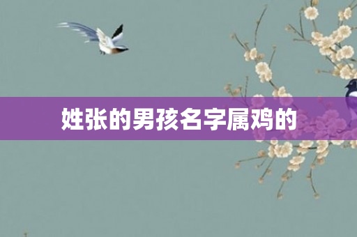 姓张的男孩名字属鸡的