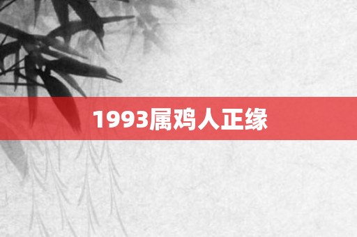 1993属鸡人正缘