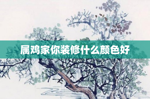 属鸡家你装修什么颜色好