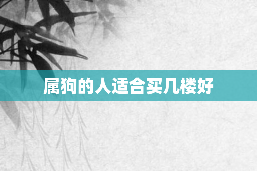 属狗的人适合买几楼好