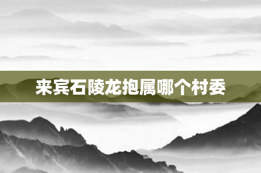 来宾石陵龙抱属哪个村委
