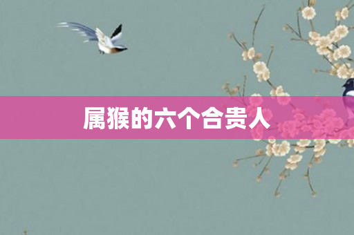 属猴的六个合贵人