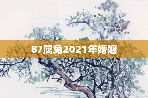 87属兔2021年婚姻