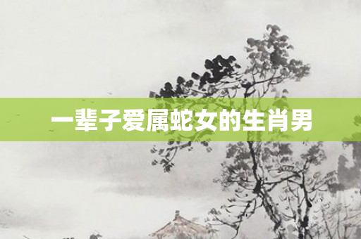 一辈子爱属蛇女的生肖男
