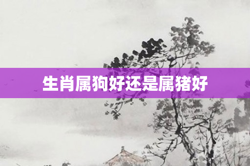 生肖属狗好还是属猪好