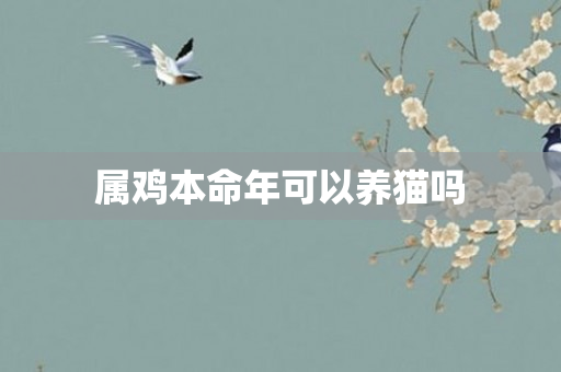 属鸡本命年可以养猫吗