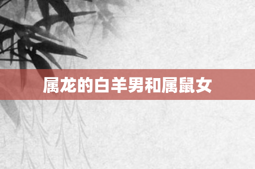 属龙的白羊男和属鼠女
