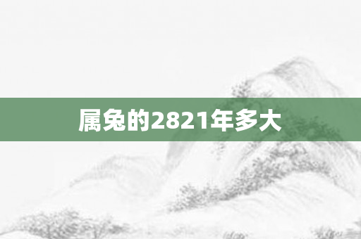 属兔的2821年多大