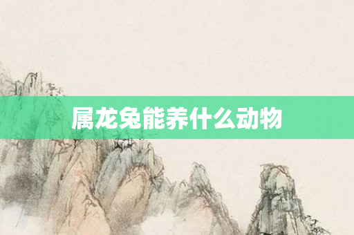 属龙兔能养什么动物
