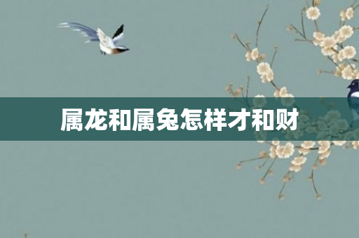 属龙和属兔怎样才和财