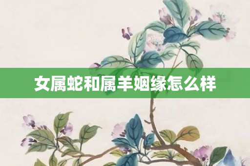 女属蛇和属羊姻缘怎么样