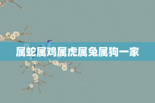 属蛇属鸡属虎属兔属狗一家