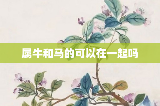 属牛和马的可以在一起吗