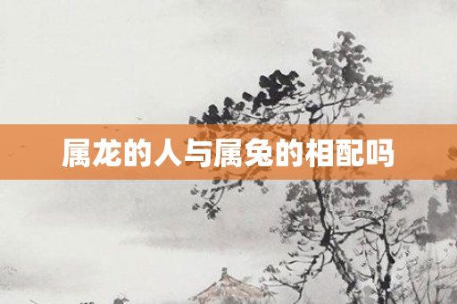 属龙的人与属兔的相配吗