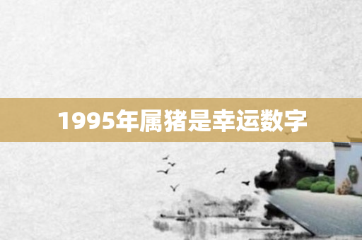1995年属猪是幸运数字