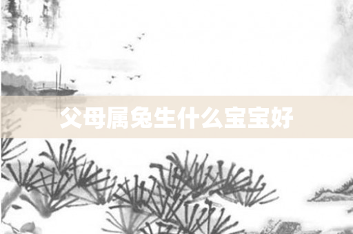 父母属兔生什么宝宝好