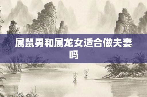 属鼠男和属龙女适合做夫妻吗