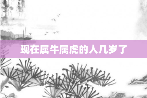 现在属牛属虎的人几岁了
