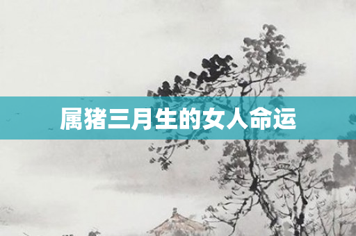 属猪三月生的女人命运