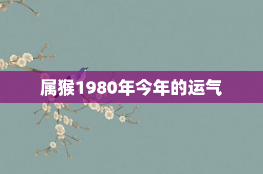属猴1980年今年的运气