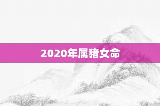 2020年属猪女命
