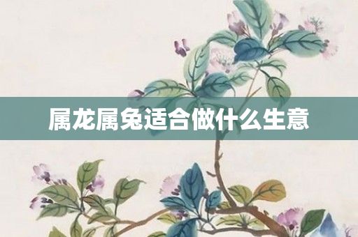 属龙属兔适合做什么生意