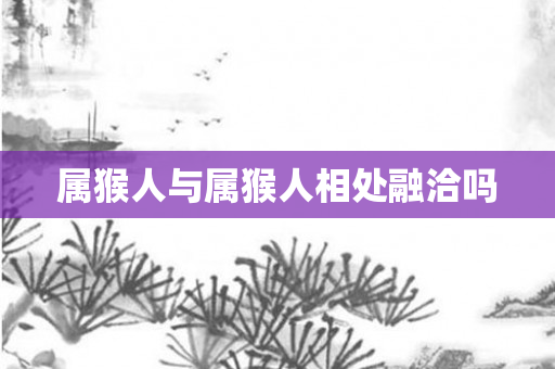 属猴人与属猴人相处融洽吗