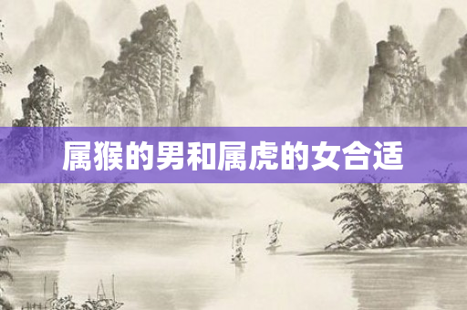 属猴的男和属虎的女合适