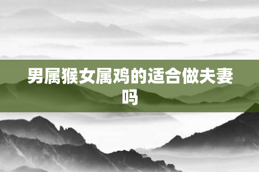 男属猴女属鸡的适合做夫妻吗