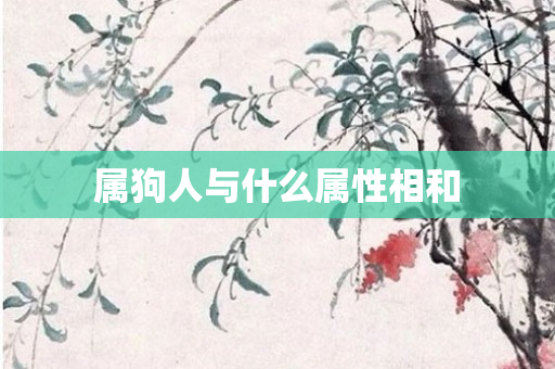 属狗人与什么属性相和