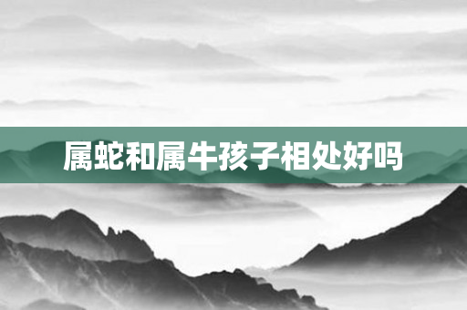 属蛇和属牛孩子相处好吗