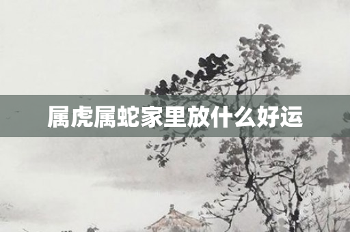属虎属蛇家里放什么好运