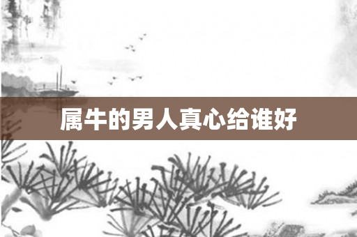 属牛的男人真心给谁好