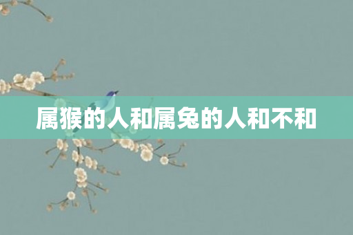 属猴的人和属兔的人和不和