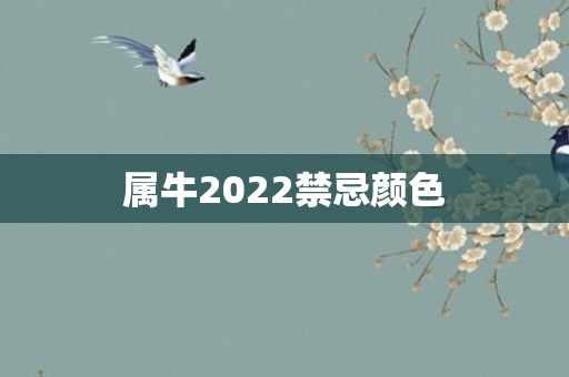 属牛2022禁忌颜色