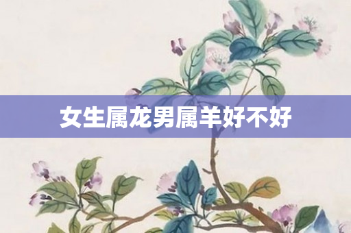 女生属龙男属羊好不好