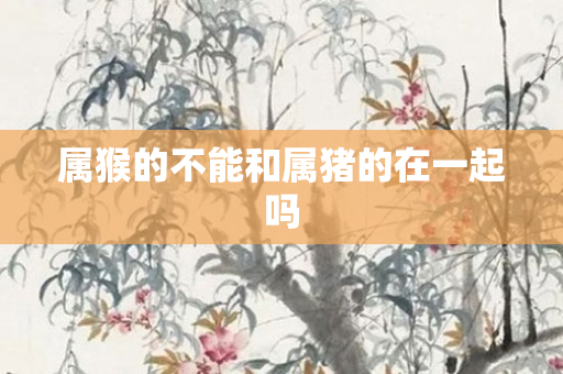 属猴的不能和属猪的在一起吗