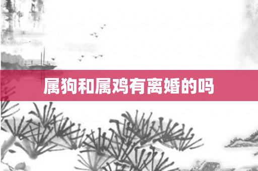属狗和属鸡有离婚的吗