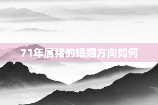 71年属猪的婚姻方向如何