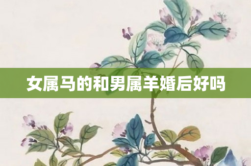 女属马的和男属羊婚后好吗