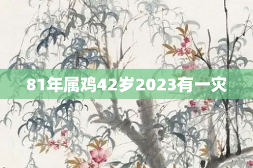 81年属鸡42岁2023有一灾