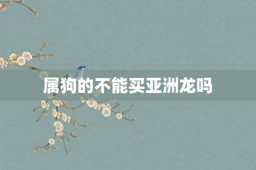 属狗的不能买亚洲龙吗