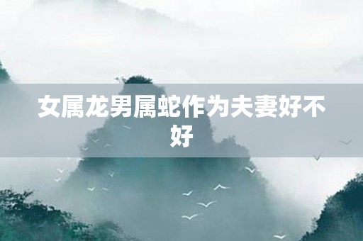 女属龙男属蛇作为夫妻好不好