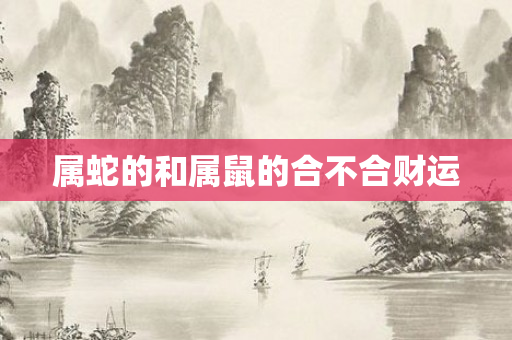 属蛇的和属鼠的合不合财运